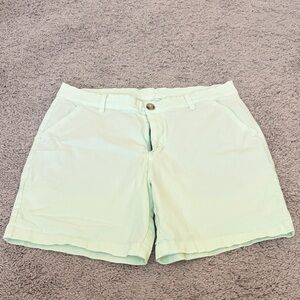 Chubbies mint green shorts, 35 waist, 7” inseam